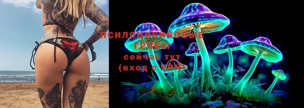 мет Алзамай
