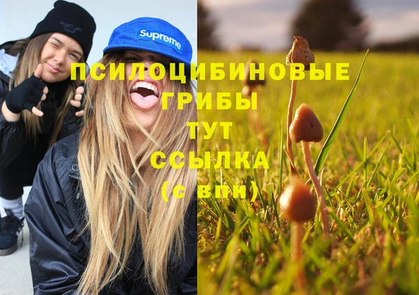 мет Алзамай