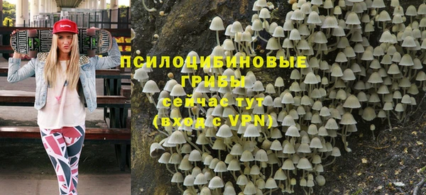 амфетамин Алексеевка