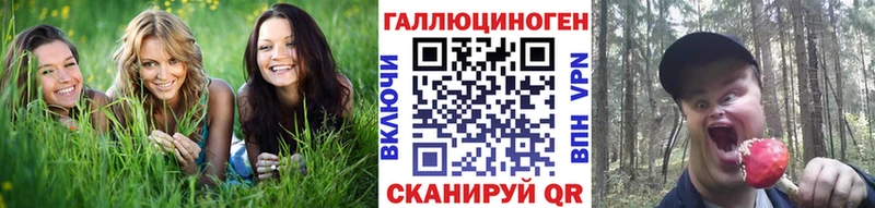 купить  цена  Приморск  Галлюциногенные грибы Magic Shrooms 